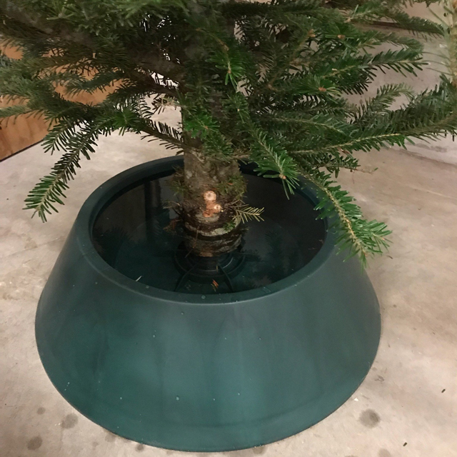 Christmas Tree Stands